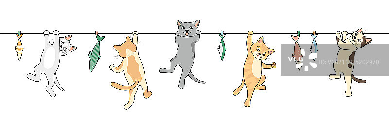 绳子上的猫咪图片素材