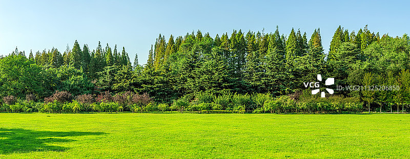 蓝天草地绿树林背景素材图片素材