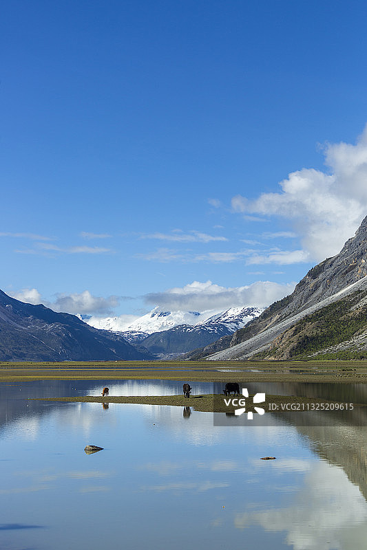 湖畔魅影——昌都市八宿县然乌湖图片素材