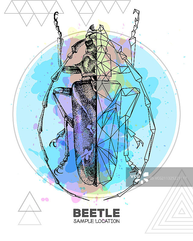 手绘多边形长角甲虫图片素材