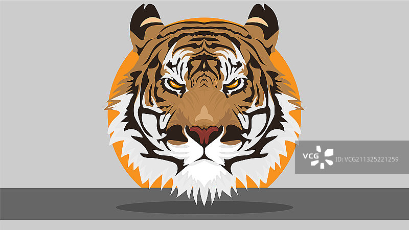 愤怒的老虎头背景图片素材