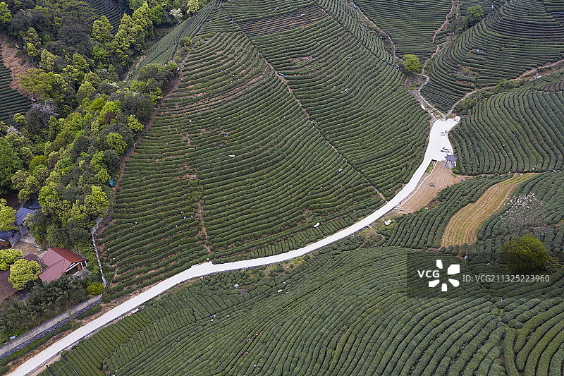 龙坞镇西山森林公园图片素材