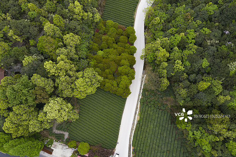 龙坞镇西山森林公园图片素材