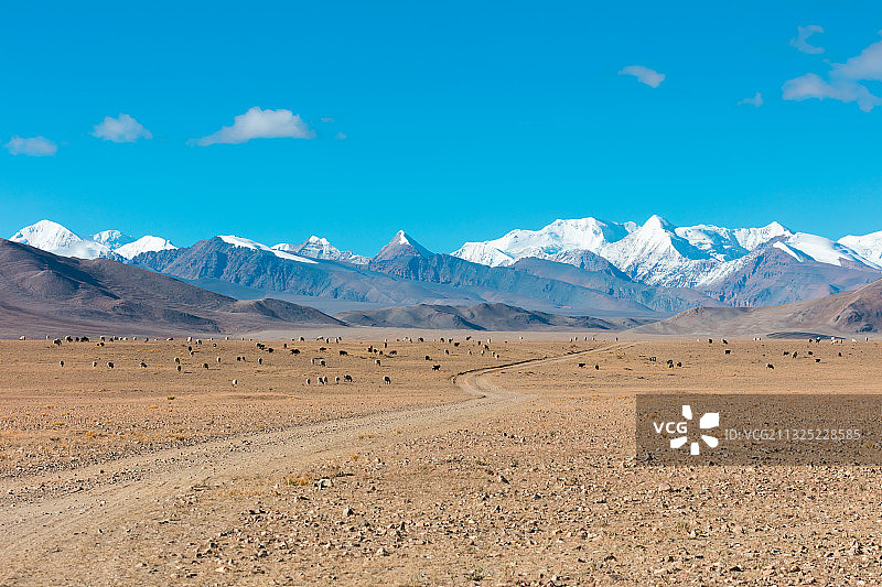 西藏自治区日喀则市岗巴县前往曲登尼玛冰川路上的风景图片素材