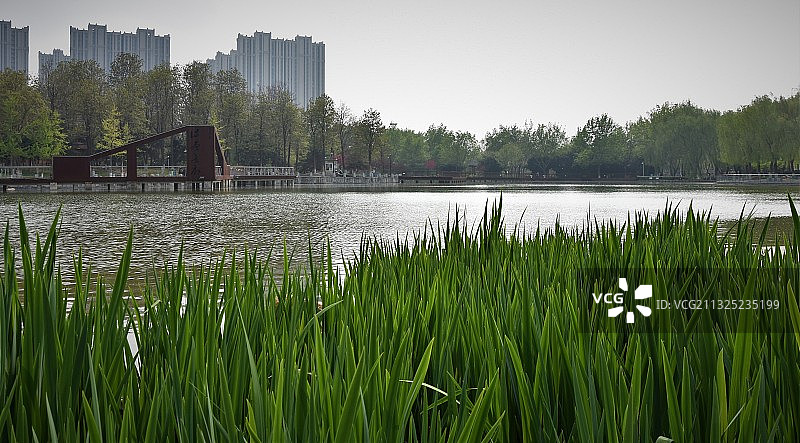 午后东环-精彩非凡 东环公园 石家庄图片素材