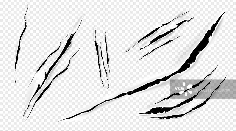 猫咪爪子的抓痕图案图片素材