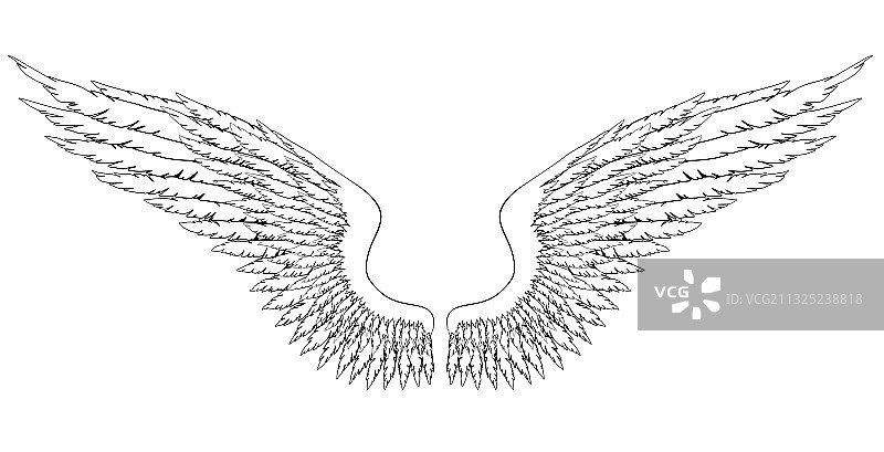 黑白手绘翅膀图片素材
