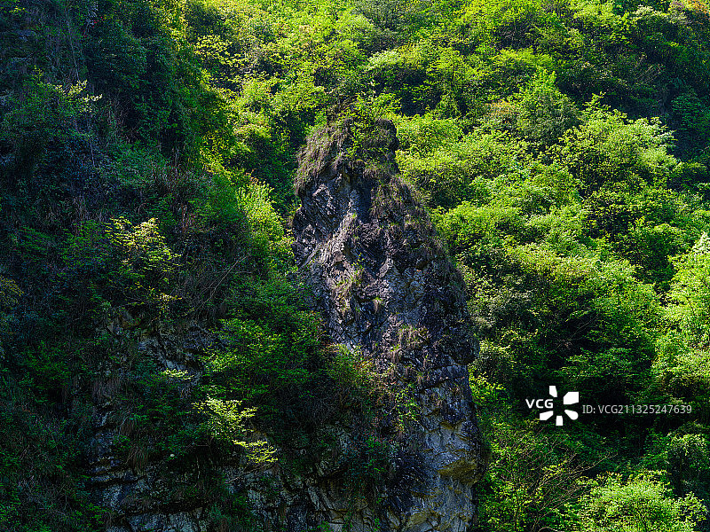 翠绿青山 秀峰图片素材