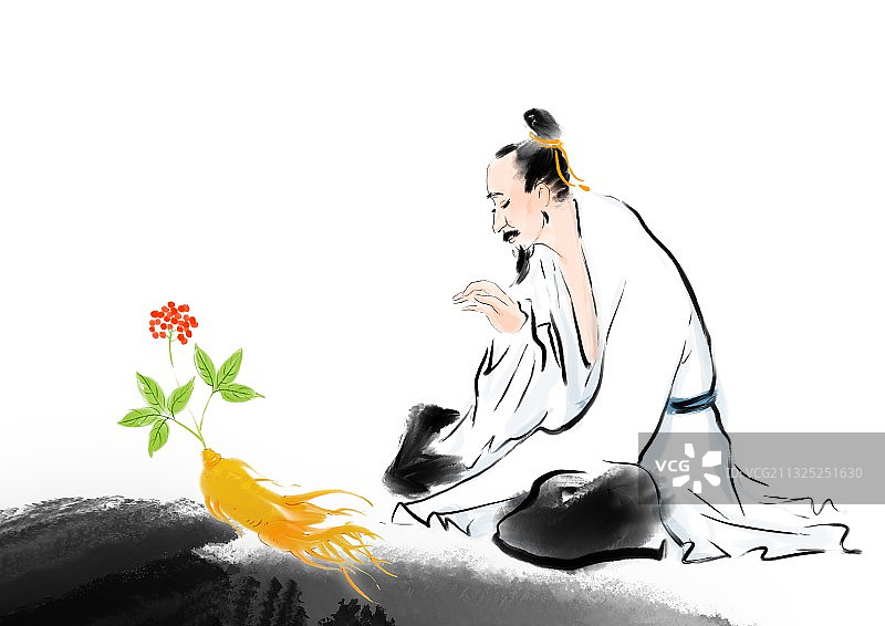 中医养生人物人参插画图片素材