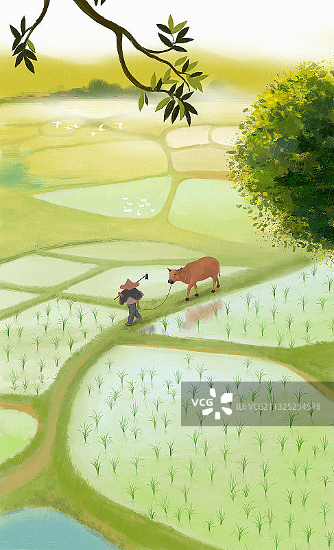 二十四节气谷雨节日春天耕种播种田野插画图片素材