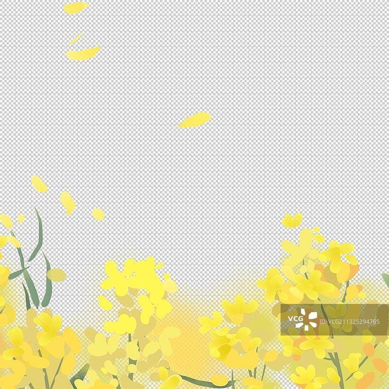 油菜花元素图片素材
