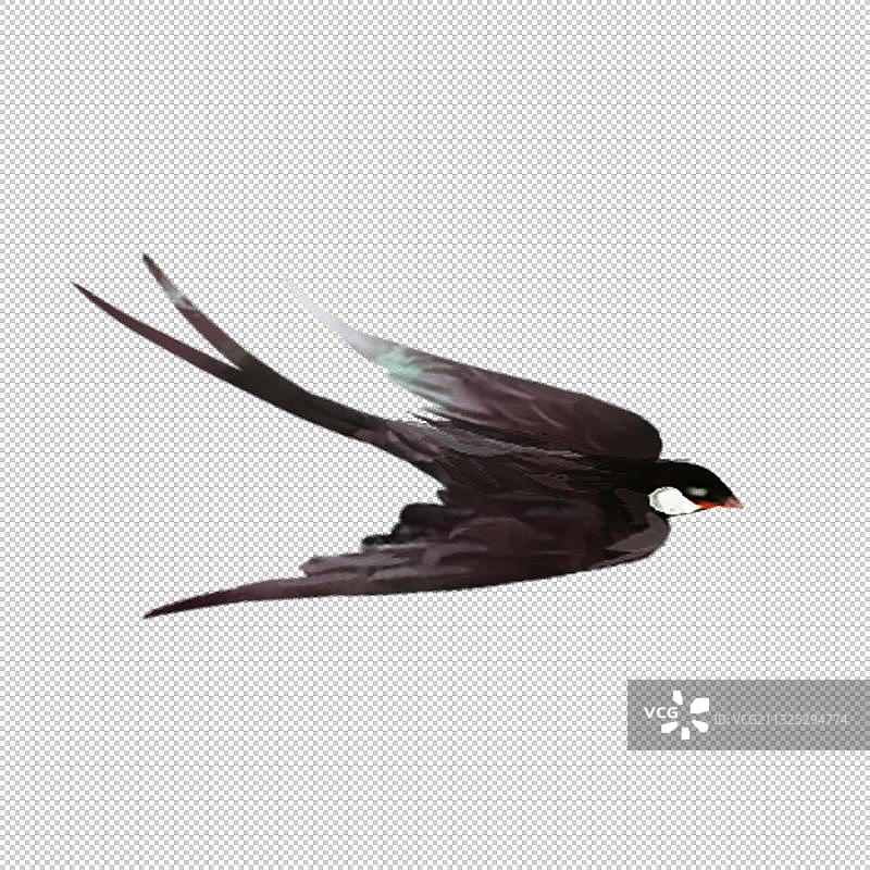 水墨燕子图片素材