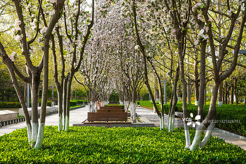 五棵松公园 北京图片素材