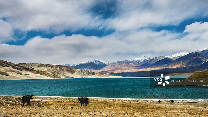 白沙湖  摄于新疆阿克陶县图片素材