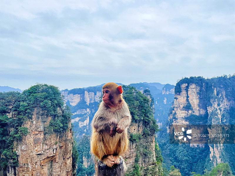 张家界武陵源景区图片素材