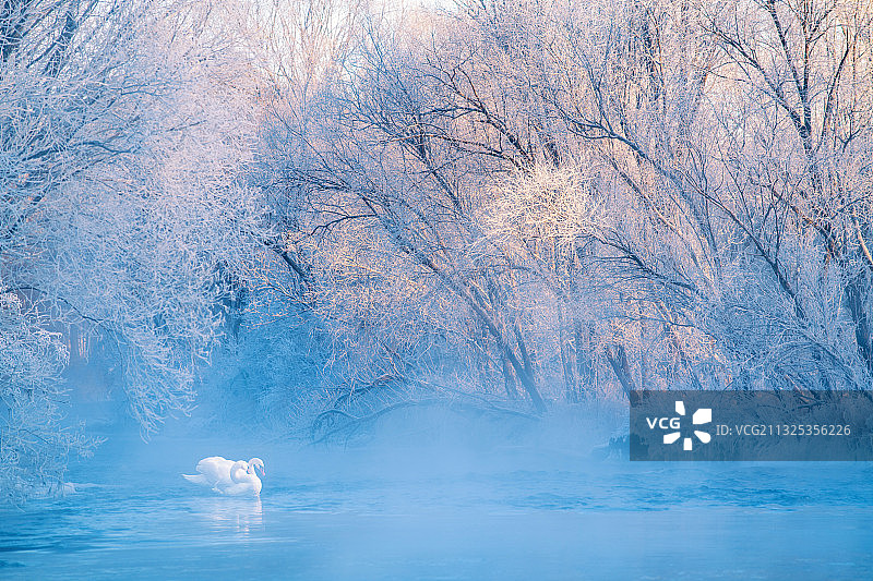 黑龙江库尔滨水库雾凇图片素材