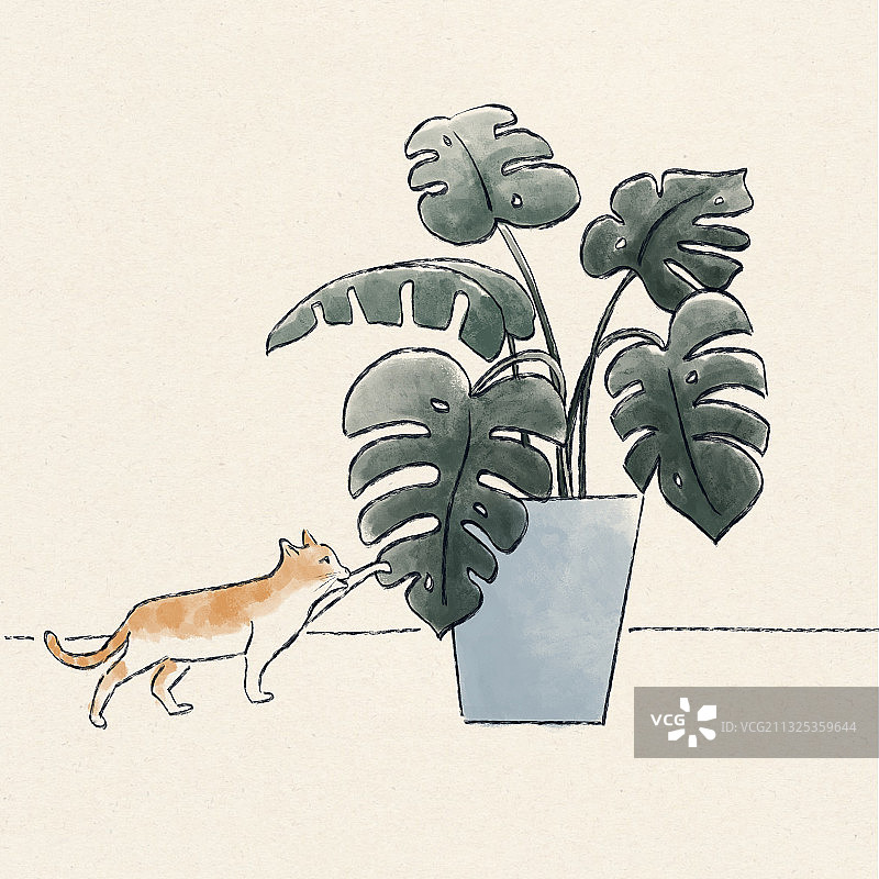 植物和猫图片素材