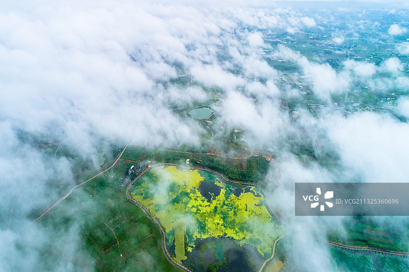 《中华茉莉园》图片素材