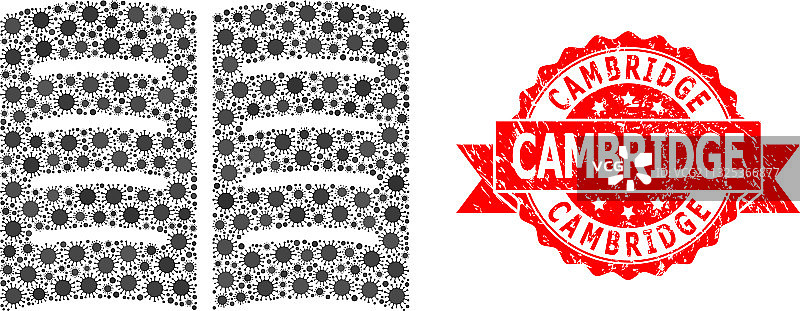 剑桥Grunge印章和COVID马赛克打开的书本图片素材