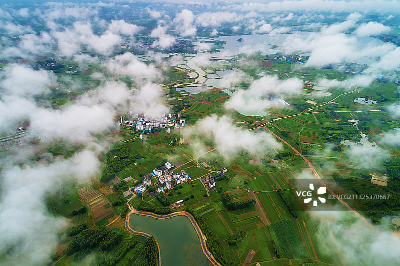 《中华茉莉园》图片素材