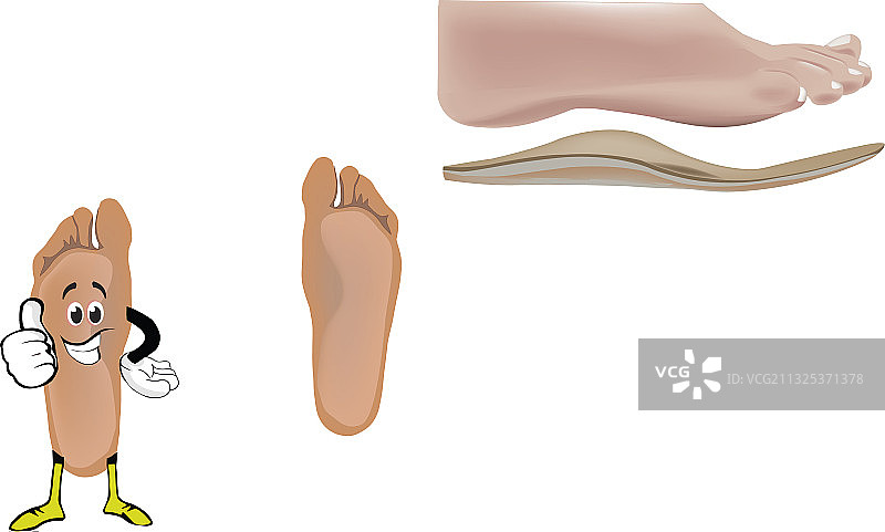 具有足弓支撑的人的脚，用于步行图片素材