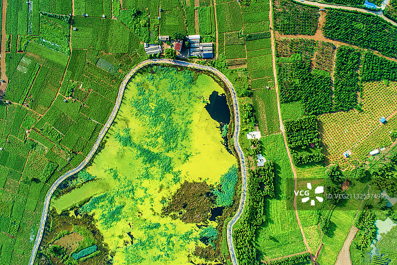 《中华茉莉园》图片素材