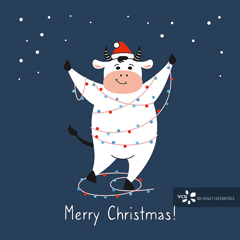 戴圣诞帽的公牛花环圣诞卡片图片素材