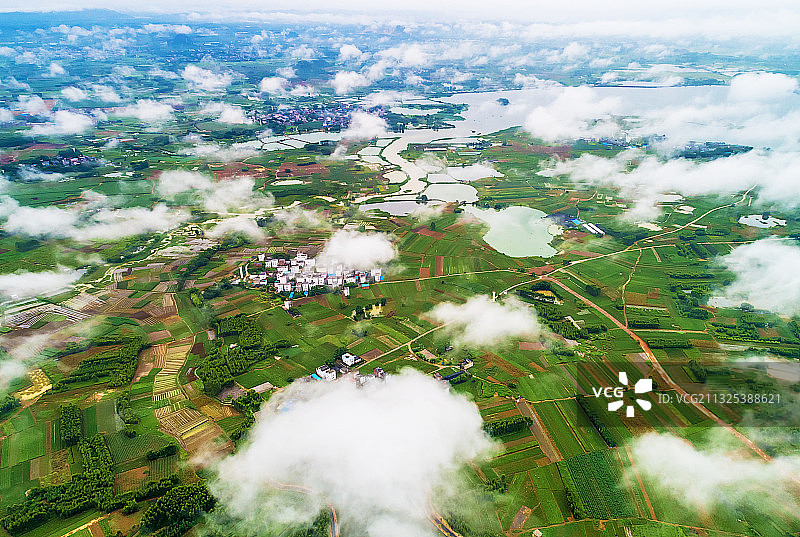 《中华茉莉园》图片素材