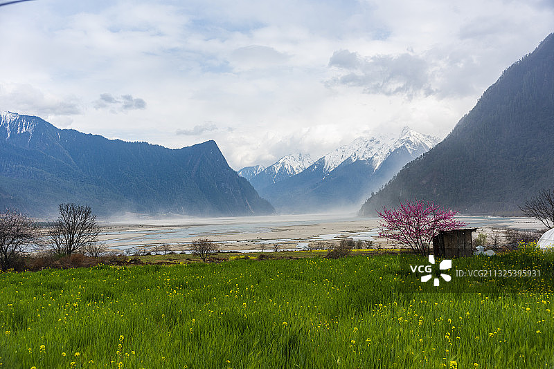 桃花季的易贡湖图片素材