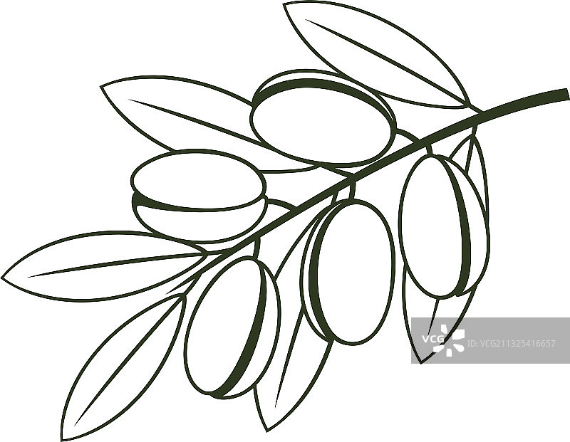 摩洛哥坚果图片素材