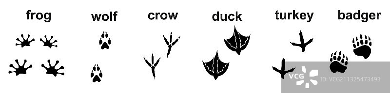 可打印的动物脚印合集（扁平风格）图片素材