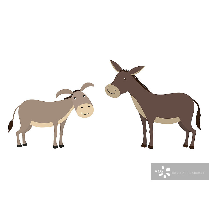 驴与骡子的区别图片素材