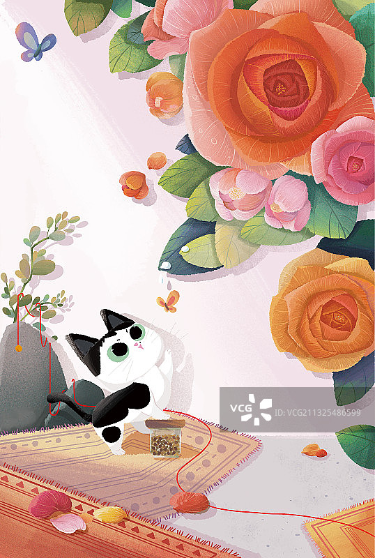 猫扑蝶图片素材