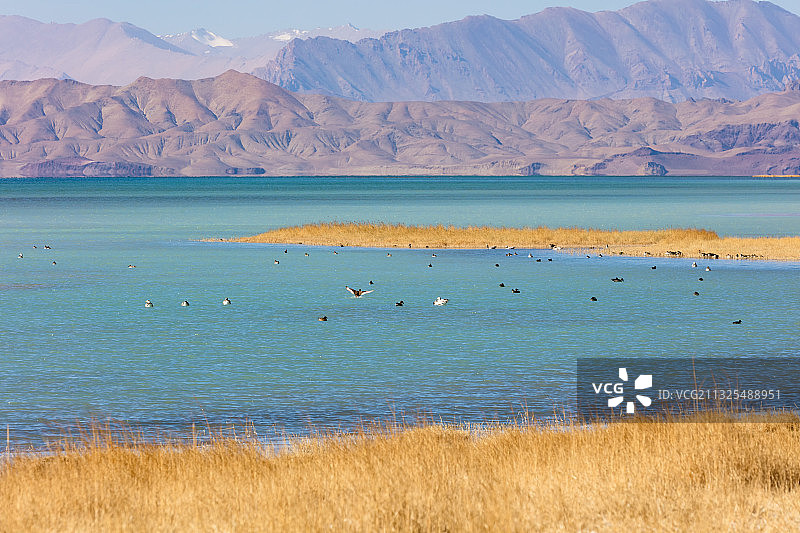 西藏自治区阿里地区班公湖的风景图片素材