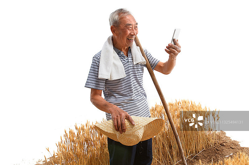 农民站在麦田里看手机图片素材