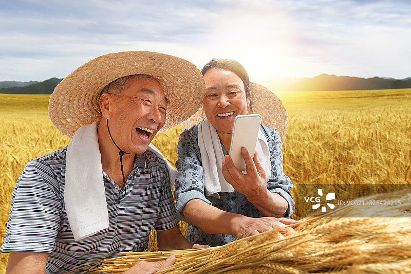 农民夫妇坐在麦田里用手机视频图片素材