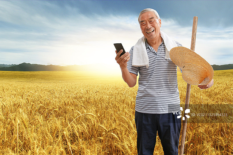 站在麦田里的农民看手机图片素材