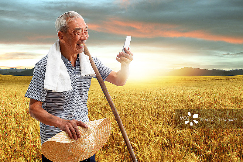 农民站在麦田里看手机图片素材