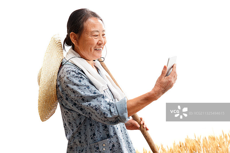 在麦田里劳动的农民图片素材