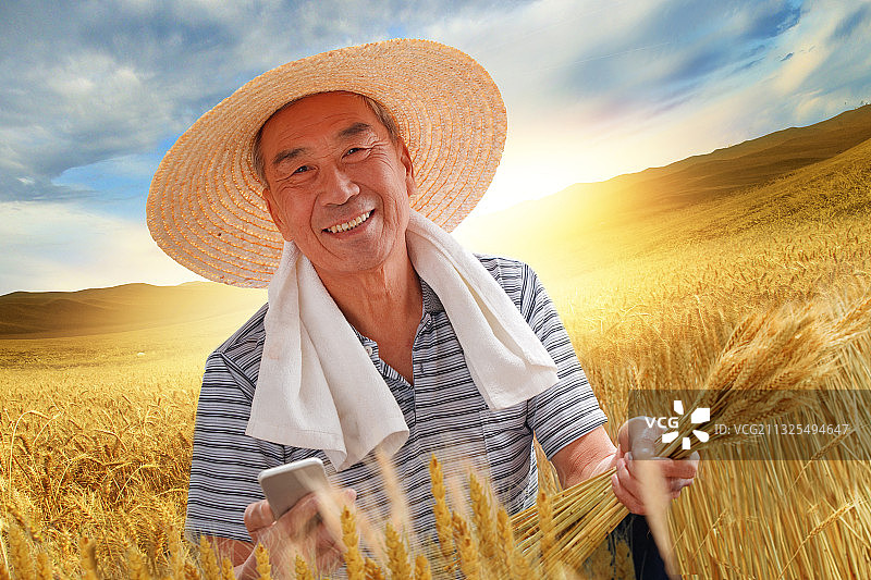 农民在麦田里查看小麦图片素材