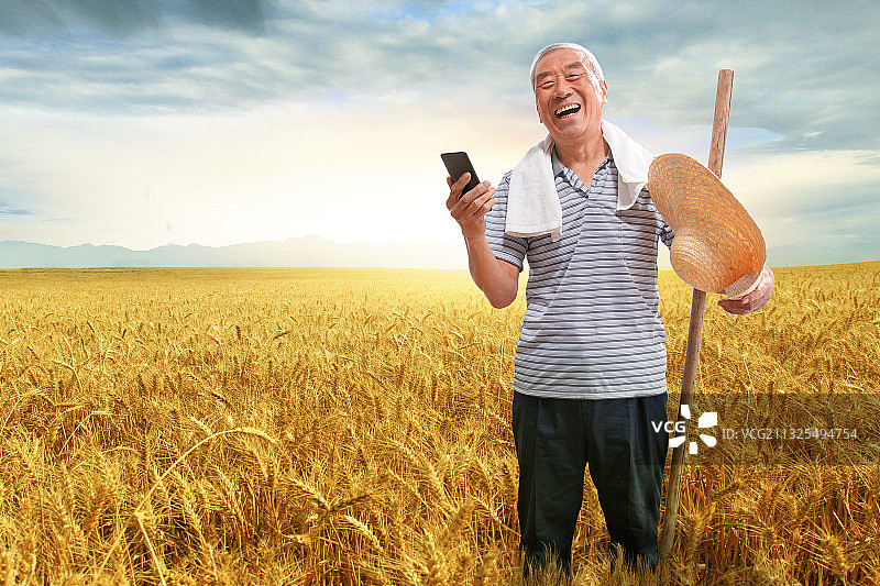 站在麦田里的农民看手机图片素材