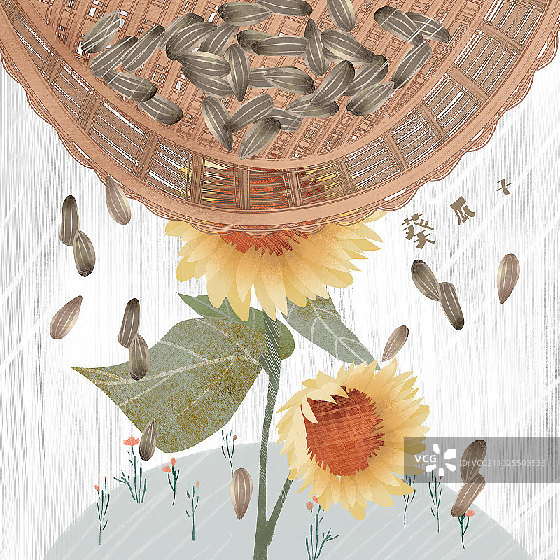 零食葵瓜子插画图片素材
