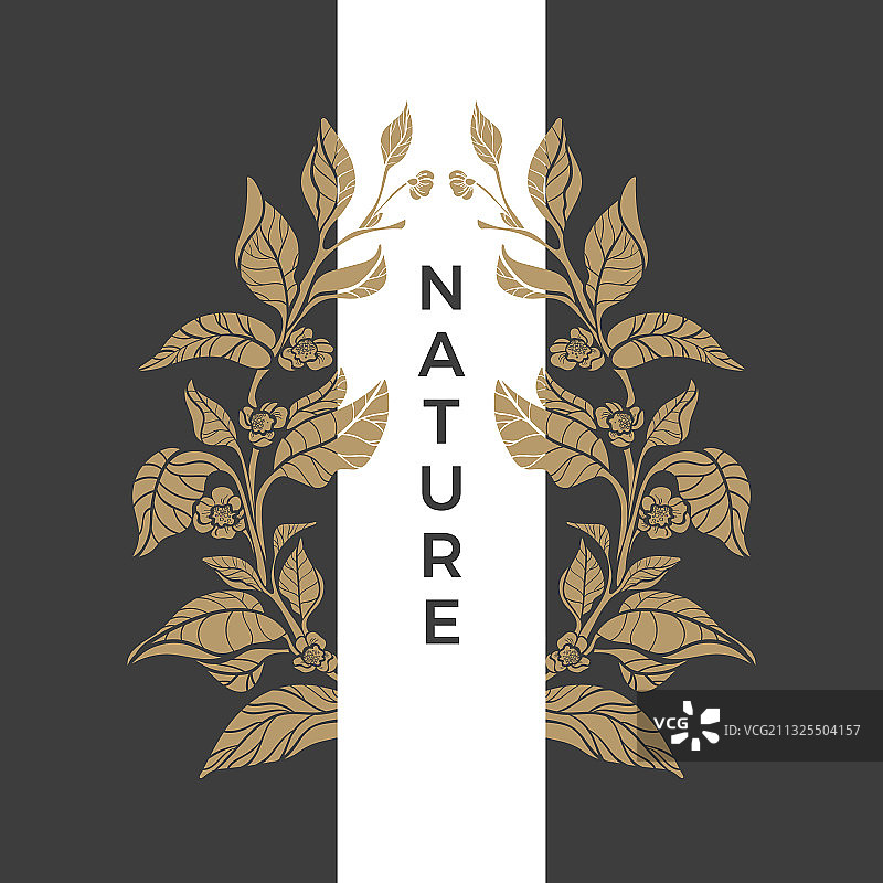 自然徽标艺术设计茶图片素材