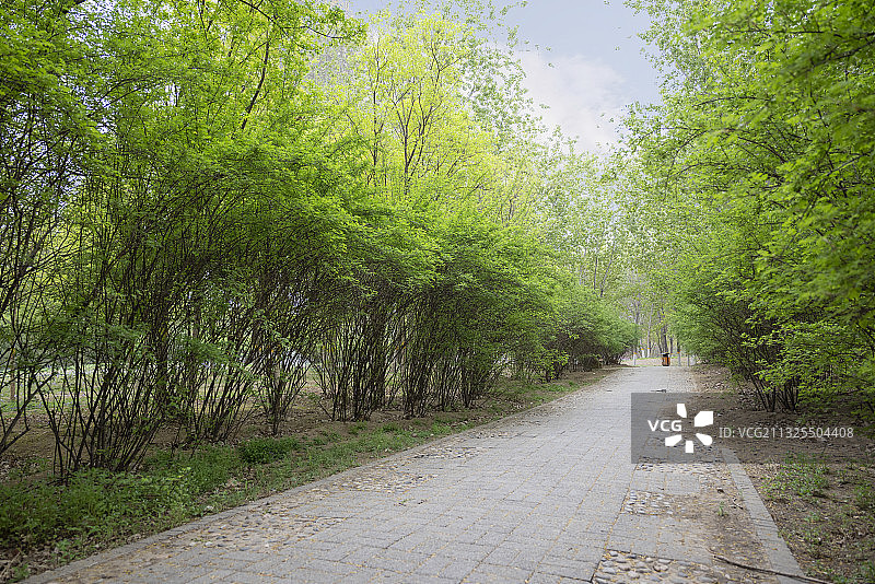 东小口森林公园图片素材