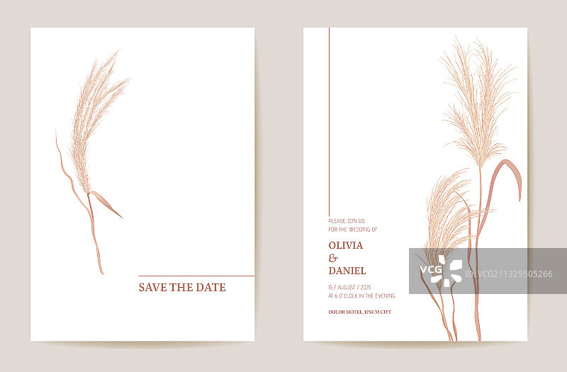 极简婚礼邀请函，蒲苇草波西米亚风卡片图片素材