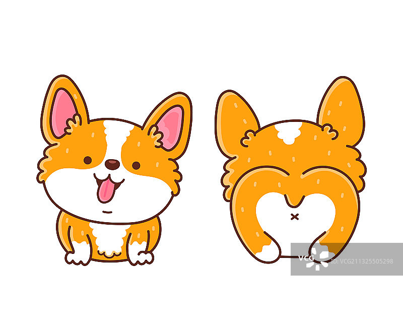 可爱快乐的柯基犬正面和背面图片素材