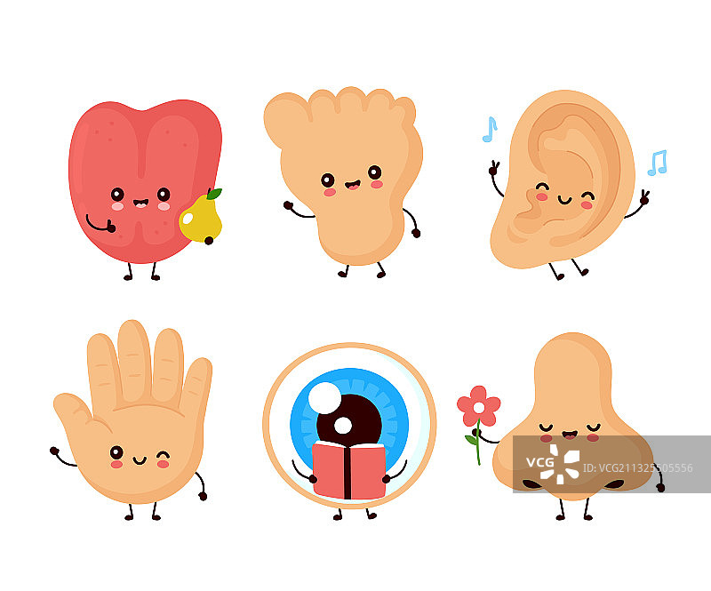 可爱快乐的人体感官器官套装图片素材