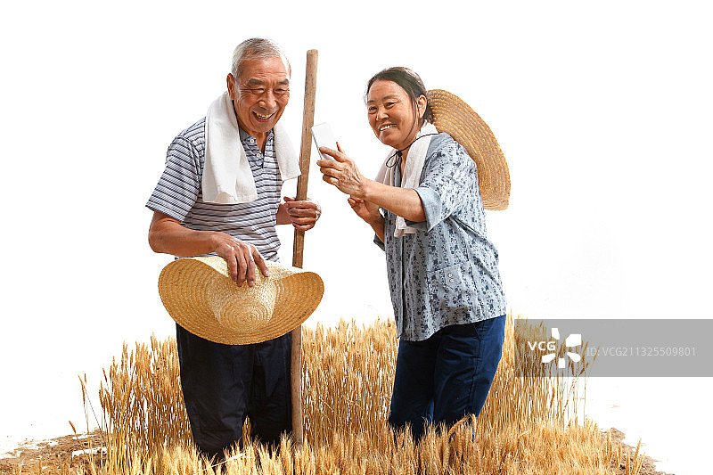 农民夫妇在麦田里用手机视频图片素材