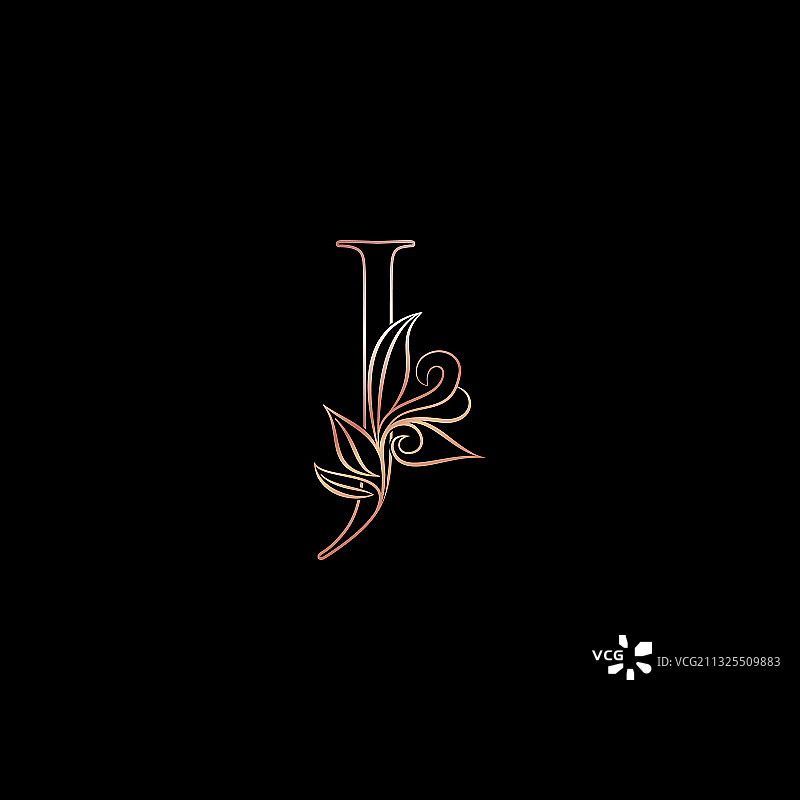 金色玫瑰轮廓字母J奢华装饰图片素材