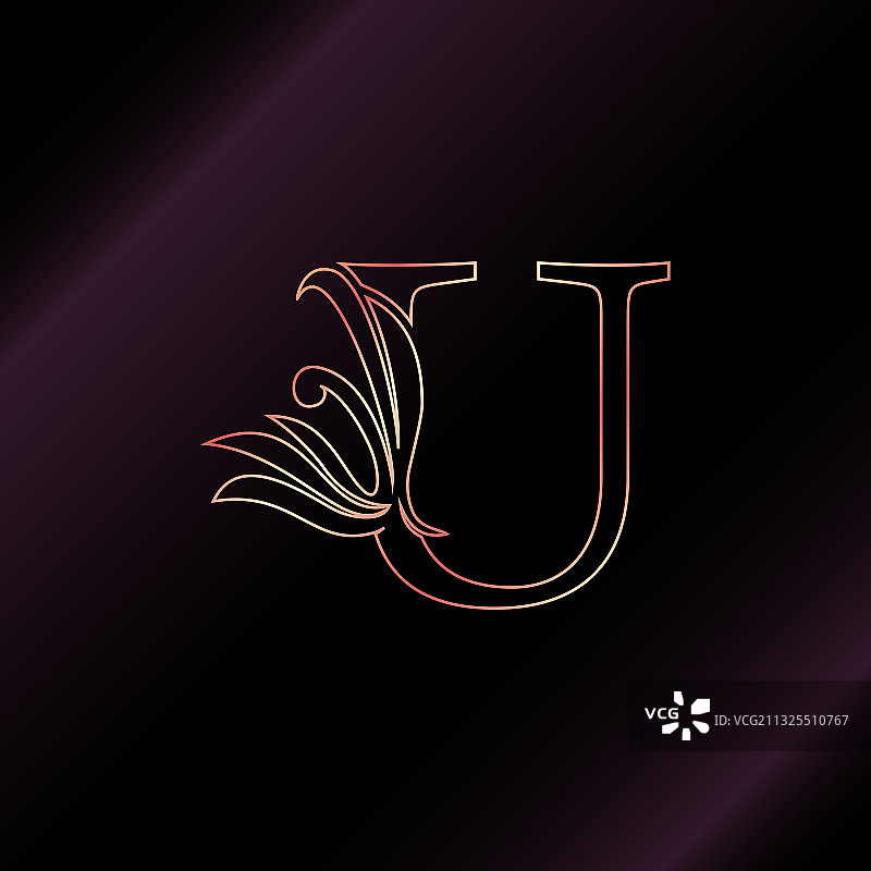 金色玫瑰轮廓字母U奢华装饰图片素材